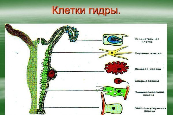 Через какой браузер можно зайти на кракен