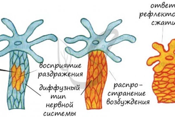 Kra23.at